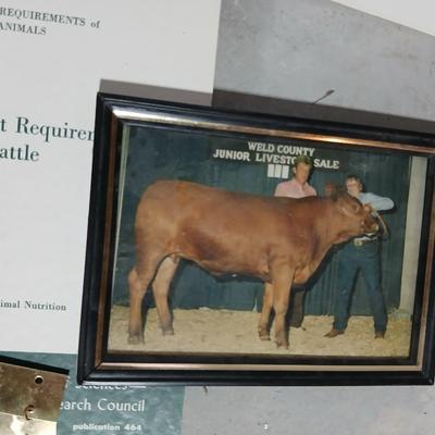 Vintage Colorado State University Veterinarian study books and more