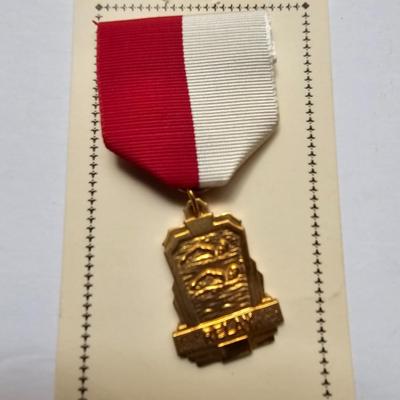 Variety of older Swimming medals - 12 total