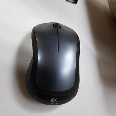 Netgear N300 Wireless router with Logitech wireless mouse