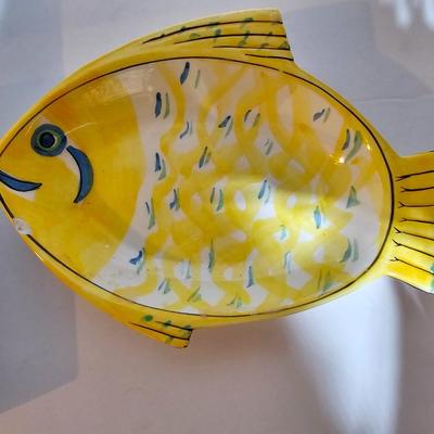Framed Fish artwork and a collection of seashells and coral and more