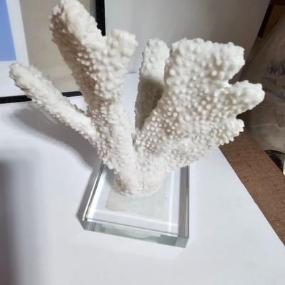 Framed Fish artwork and a collection of seashells and coral and more