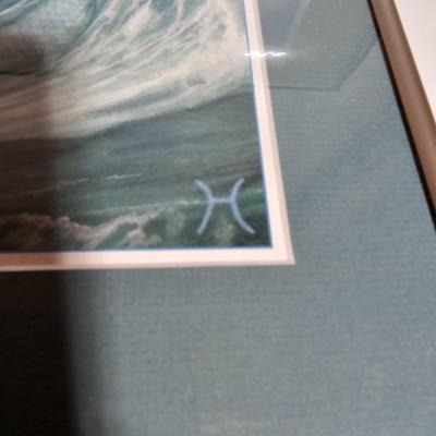 Framed Fish artwork and a collection of seashells and coral and more
