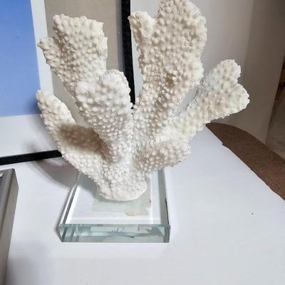 Framed Fish artwork and a collection of seashells and coral and more
