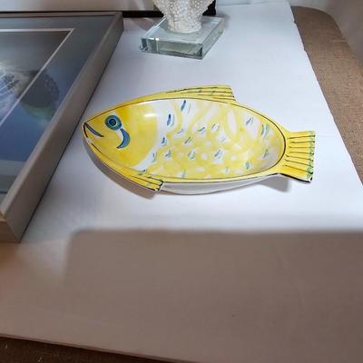 Framed Fish artwork and a collection of seashells and coral and more
