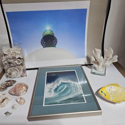 Framed Fish artwork and a collection of seashells and coral and more