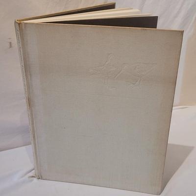 Georgia O’Keeffe and Other Books on Painters (LR-DZ)