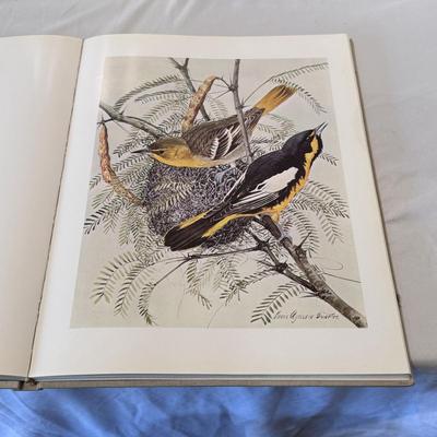 Georgia O’Keeffe and Other Books on Painters (LR-DZ)