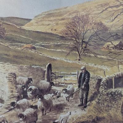 Alan Ingham Prints & Picture Frames