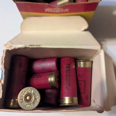 12 & 20 Gauge Mixed Shells