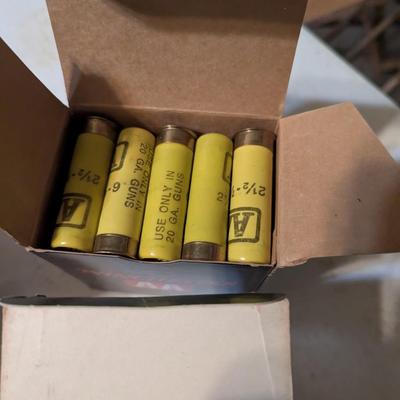 12 & 20 Gauge Mixed Shells