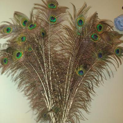 Glass Vase with Collection of Ostrich Feathers
