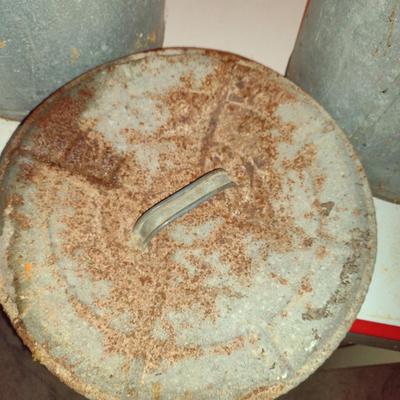 Pair of Galvanized Buckets with Lids