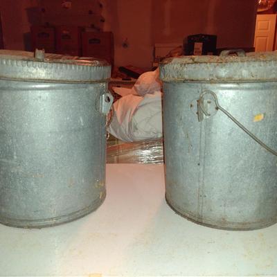Pair of Galvanized Buckets with Lids