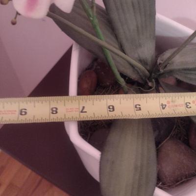 Silk Orchid in Ceramic Pot