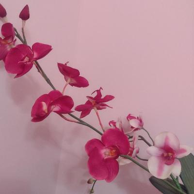 Silk Orchid in Ceramic Pot