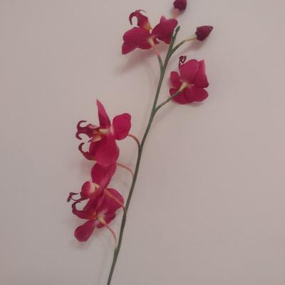 Silk Orchid in Ceramic Pot