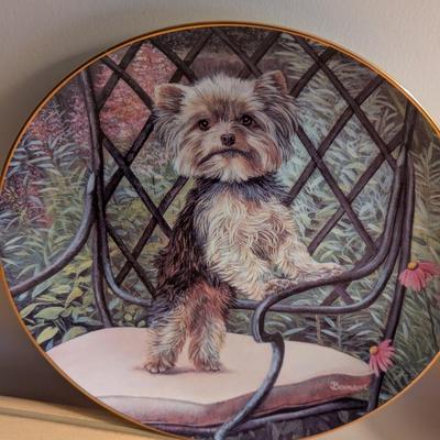 The Danbury Mint Yorkies 8 1/2" Plates