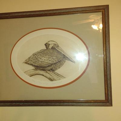 'Pelican at Rest' by Dianne Krumel Signed and Numbered Print- Framed Under Glass (K)