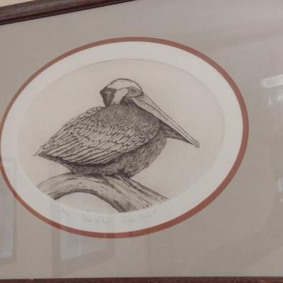 'Pelican at Rest' by Dianne Krumel Signed and Numbered Print- Framed Under Glass (K)