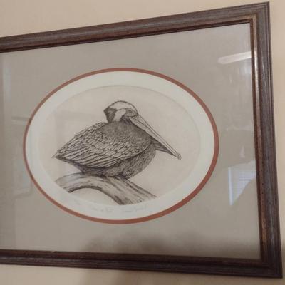 'Pelican at Rest' by Dianne Krumel Signed and Numbered Print- Framed Under Glass (K)