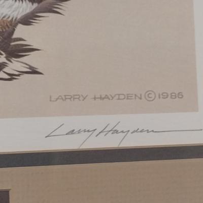 Ducks Unlimited Stamp and Print by Larry Hayden- Framed Under Glass- Signed and Numbered (K)