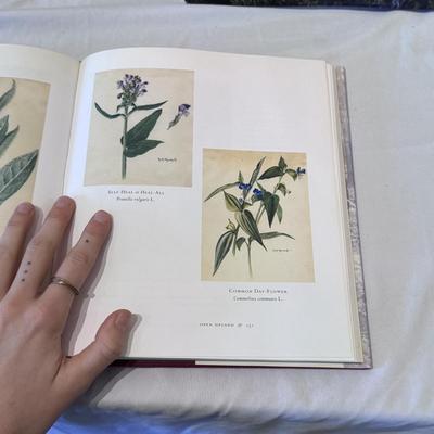 “Nature’s Chaos” by Eliot Porter, “Nature’s Beloved Son” by Bonnie J. Gisel, and Other Nature Books (LR-DZ)