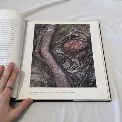 “Nature’s Chaos” by Eliot Porter, “Nature’s Beloved Son” by Bonnie J. Gisel, and Other Nature Books (LR-DZ)