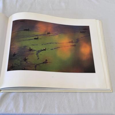 “Nature’s Chaos” by Eliot Porter, “Nature’s Beloved Son” by Bonnie J. Gisel, and Other Nature Books (LR-DZ)