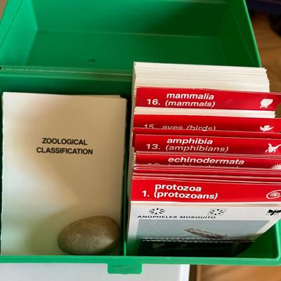 Montessori Educational Sets - Peabody Picture Collection, Wildlife Treasury