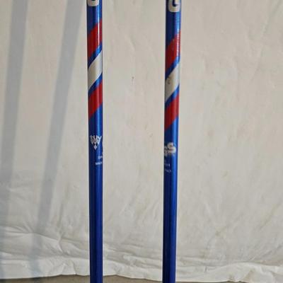 Dymastar Skis with boots and poles Exclusive legend DA7KF02
