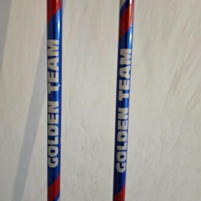 Dymastar Skis with boots and poles Exclusive legend DA7KF02