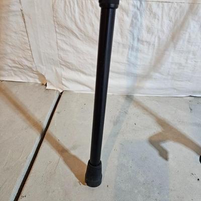 Adjustable aluminum cane and a Gripper stick tool