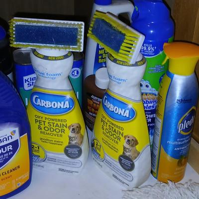 Variety of household cleaners - full to partially full bottles