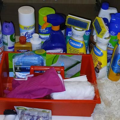 Variety of household cleaners - full to partially full bottles