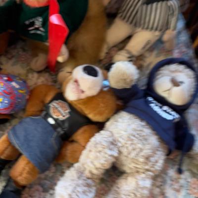 Collection of PLUSHY Stuffies