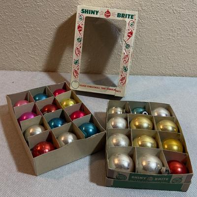 Shiny Bright Ornament