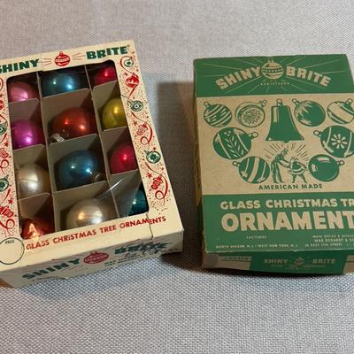 Shiny Bright Ornament