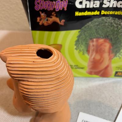 Where else in the entire world is it possible to get a CHIA SHAGGY (Scobey Doo)