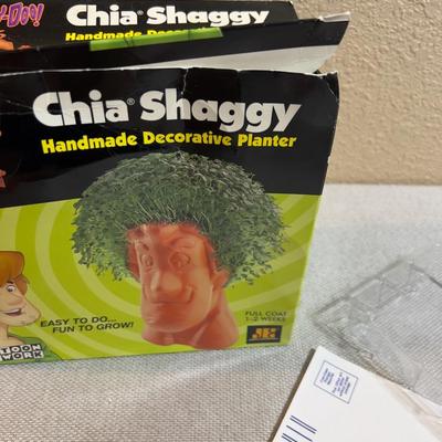 Where else in the entire world is it possible to get a CHIA SHAGGY (Scobey Doo)