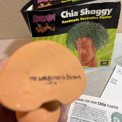 Where else in the entire world is it possible to get a CHIA SHAGGY (Scobey Doo)