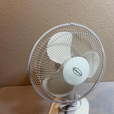 Oscillating Fan, White