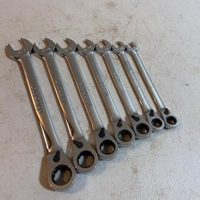 Rhino ProRatcheting End Wrench Set