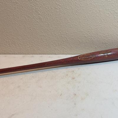 Salt Lake Stingers BAT