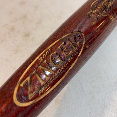 Salt Lake Stingers BAT