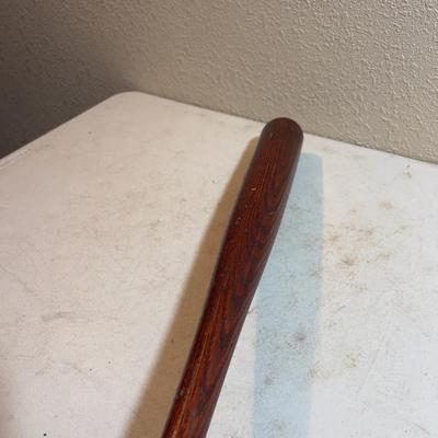 Salt Lake Stingers BAT