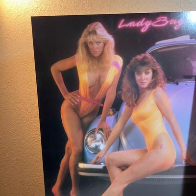 LADY BUG Bug Pack Poster the 80's are back!