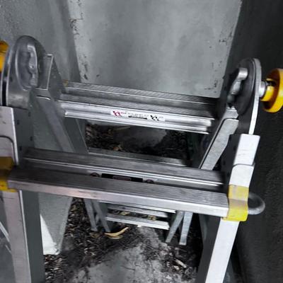 Little Giant Type II Ladder