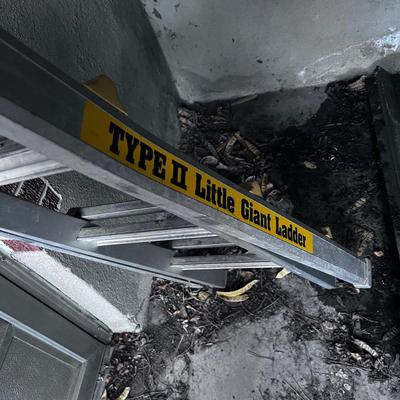Little Giant Type II Ladder