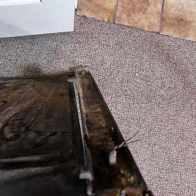 Cast Iron Fire Place Cover/Screen