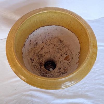 Vietri, Napa Home & Garden, and More Ceramic Planters (DR-DZ)